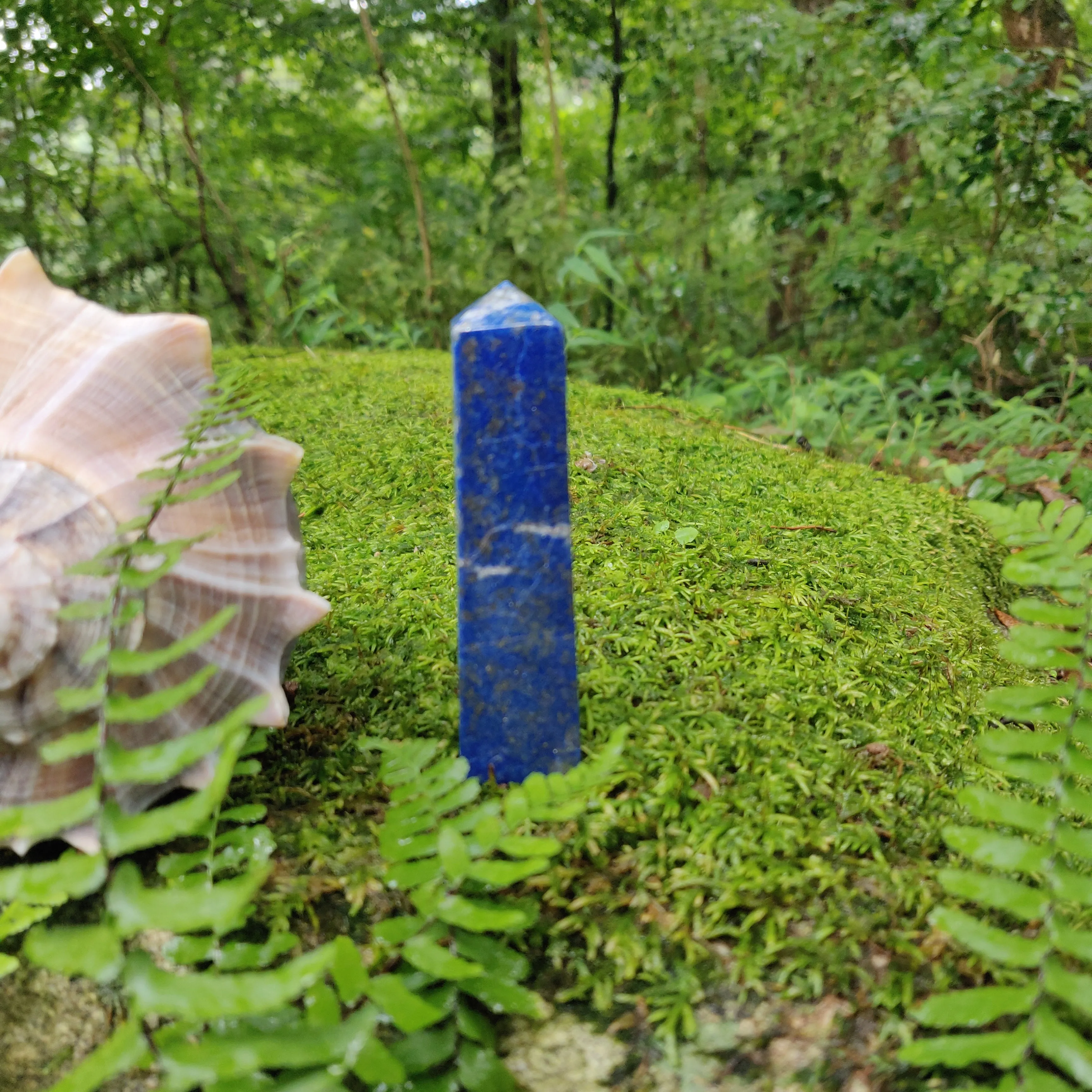 Lapis Lazuli Point (#14)